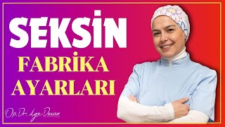 Seksin Fabrika Ayarları