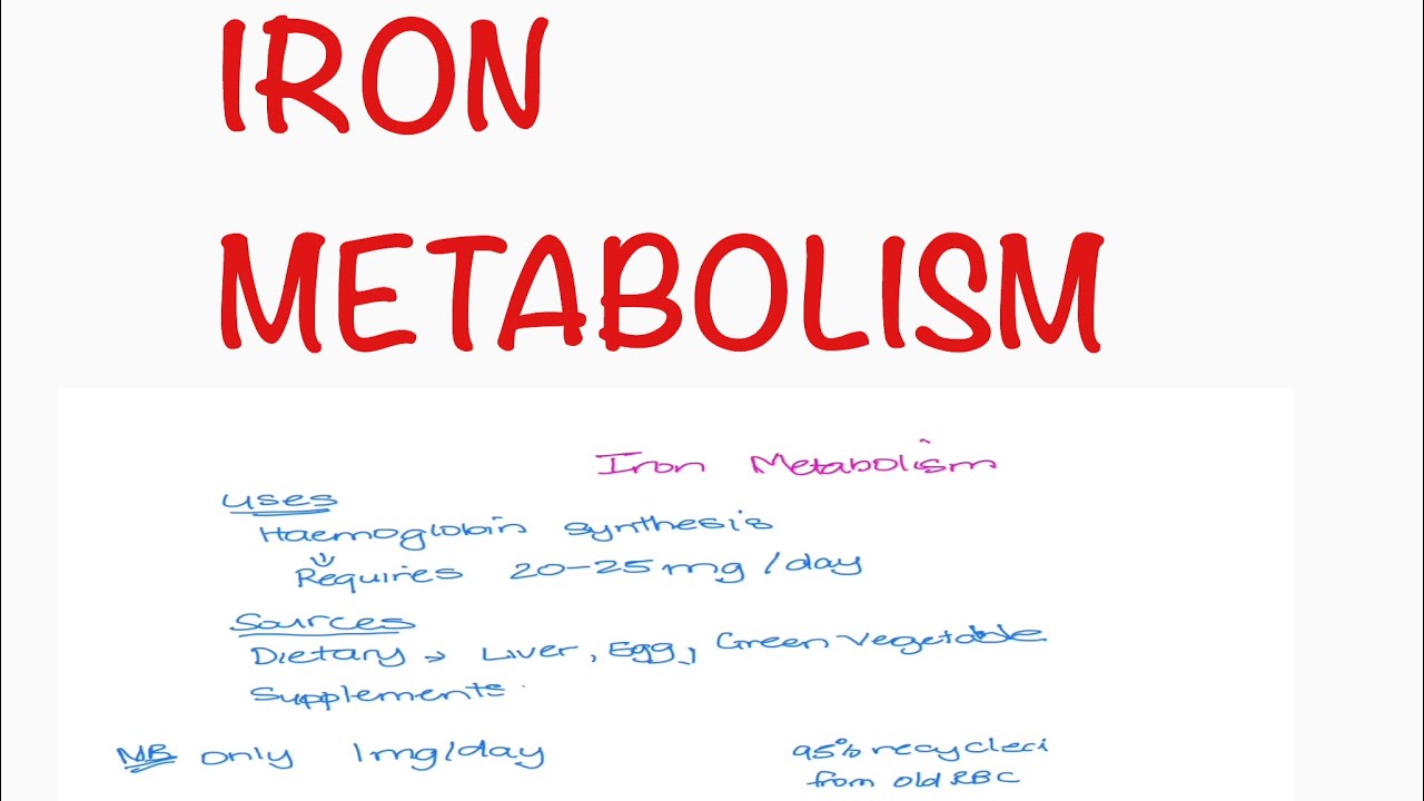 IRON METABOLISM (Absorption, Transport, Storage)+ Iron deficiency anaemia: D&N Medical Series
