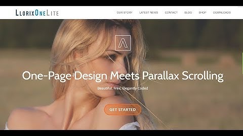 Llorix One WordPress Theme Tutorial 1