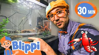 Science Museum Song - Learn & Have Fun! |  Blippi 30 MINS | Moonbug Kids - Fun Stories and Colors