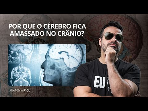 Por que o cérebro fica amassado no crânio? - #anatomiafacil