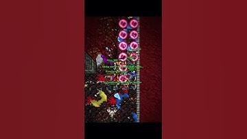 my links: direct.me/santostibia #tibiagame #pvp #tibiagirls #mmorpg #tibiaaddicts #tibia #cipsoft