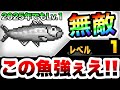 Lv 1イワシさん 今年も強すぎることが判明www にゃんこ大戦争 Lv 1イワシさん 今年も強すぎることが判明www にゃんこ大戦争