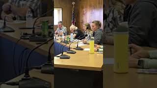 What does an Ad Hoc Citizens Committee do?