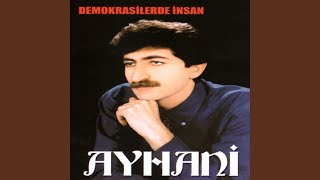 Dön Aslanım Resimi