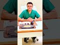 General Surgeon Dr Mansab