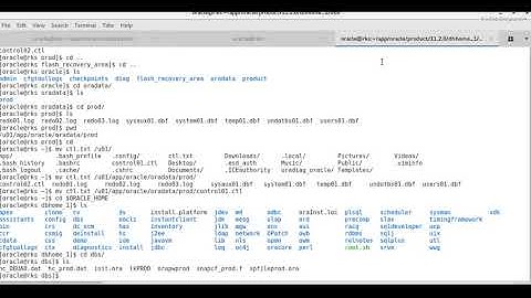 Create New Control File to Recover Database