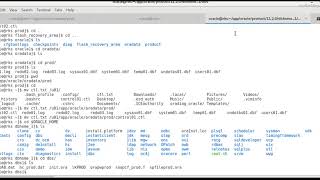Create New Control File to Recover Database
