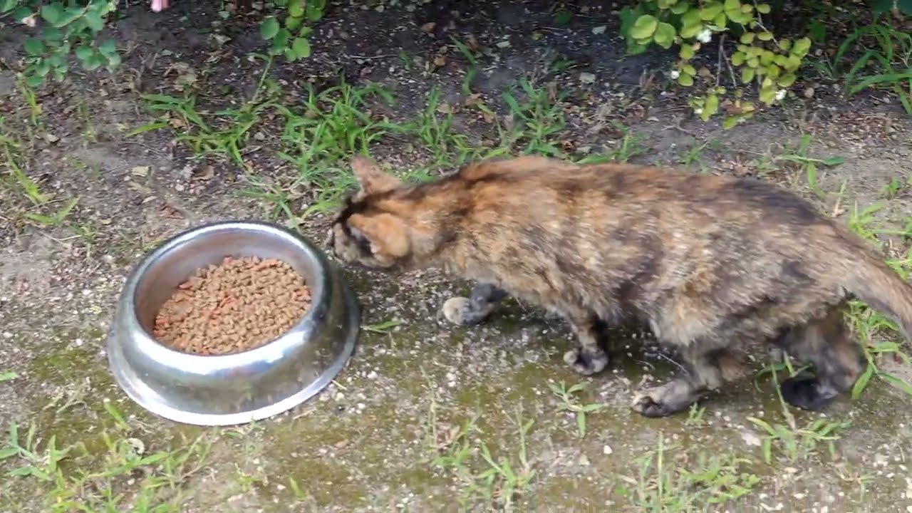 Andy`s Garten Runde !