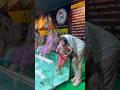 NR Fish Spa🥰 Besant Nagar beach +919952085544 #youtubeshorts #spa #cute #fish #yt #youtube #chennai