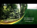 Download Лес национальное достояние Лес национальное достояние