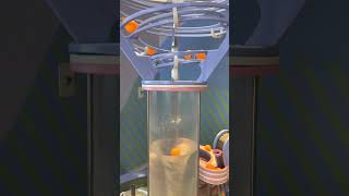 Satisfying video , Kids Play Area#satisfyingvideo #kidsfun #contraption #kidsplayarea