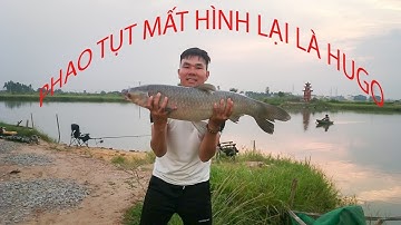 Phao tụt mất hình lại là hugo các cụ nhé -  tiếng rít cước phê lòi