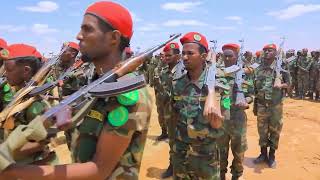Muuqaalka Soo dhawaynta weftiga madaxwaynaha ee degaanka Oog.