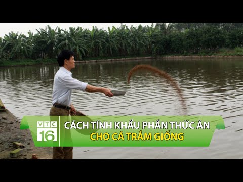 Video: Khẩu phần ăn có vị như thế nào?