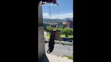 Mô hình Chim Bay Cơ Học – STEM DIY