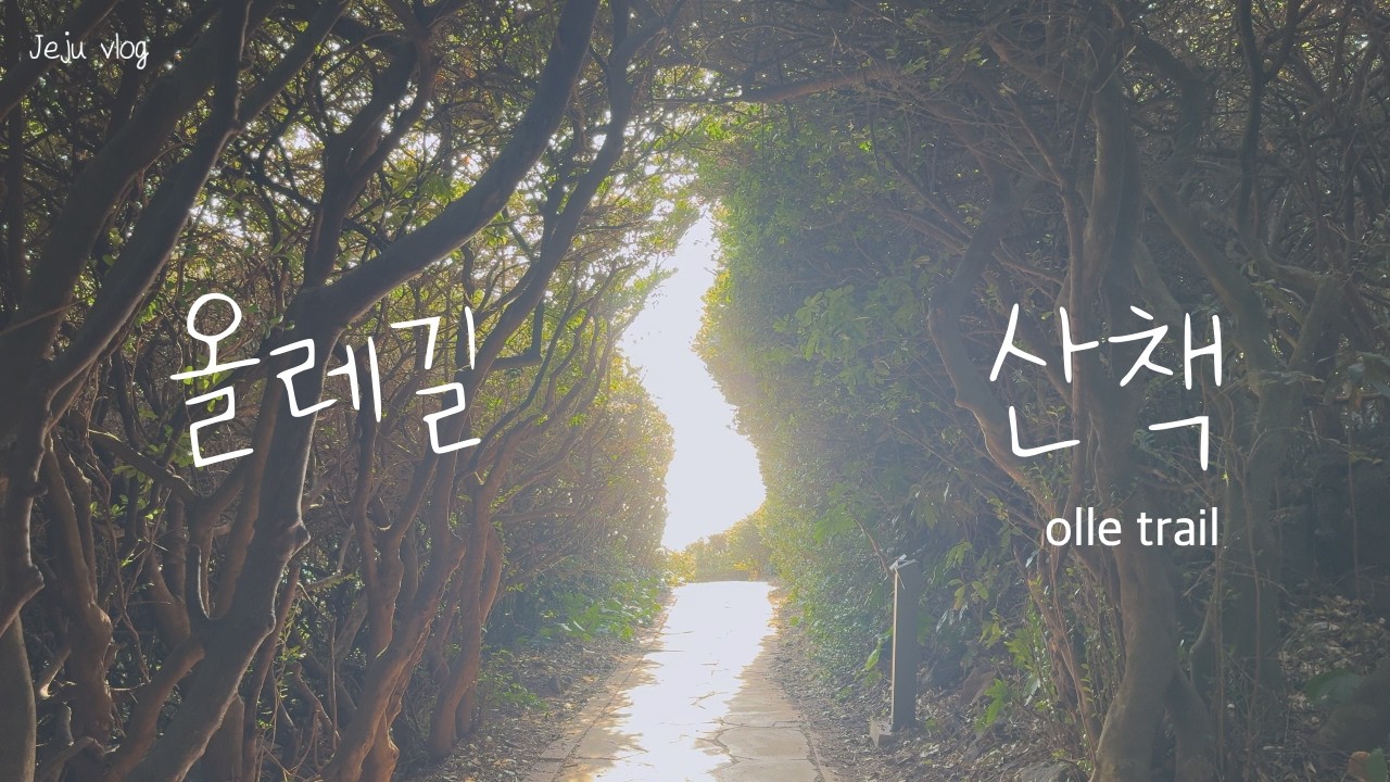 [Jeju vlog] Keuneong Olle Trail in Jeju | sunset drive, coastal walk, and Geisha coffee — steady