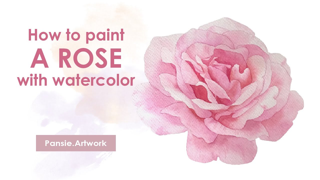Watercolor : Pink Rose วาดดอกกุหลาบด้วยสีน้ำ