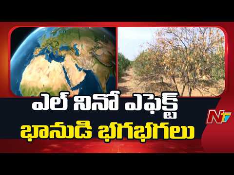 El Niño Effect: India Faces Higher Risk Of Heat, Dry Conditions | NTV