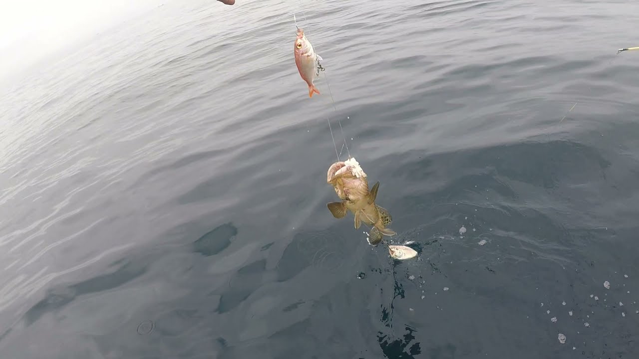 DEEP SEA BOTTOM FISHINGSKI BOATOFF UMHLANGADURBAN SOUTH AFRICA