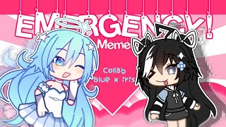 Emergency Collab W Iris