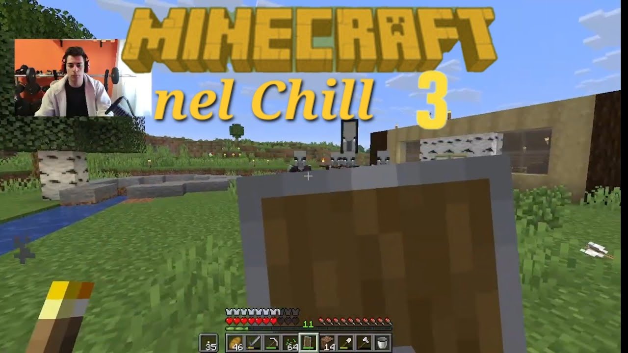 Innalziamo delle mura per la nostra sicurezza! e loro?! Minecraft nel Chill ITA Ep3 S1