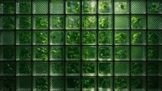 Green Plants Behind Glass Block Wall Loop 4K