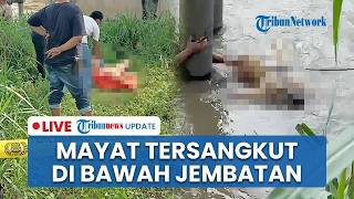 🔴 LIVE: Geger! Warga Kediri Tubuh Manusia Tersangkut di Bawah Jembatan saat hendak Cari Rumput