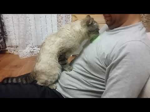 Мэйсон и пластырь "Дыши"