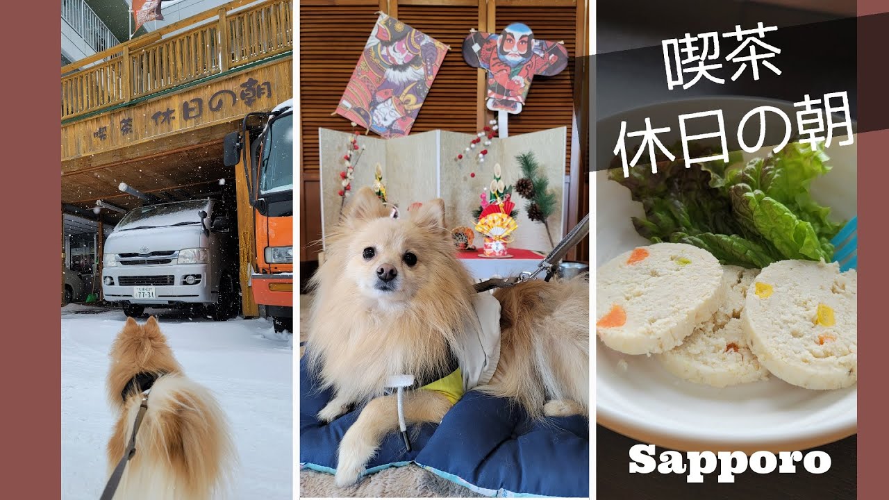 北海道札幌市 ドッグカフェ ペット同伴可の飲食店 Youtubeで紹介 札幌ドッグカフェカーフィルム ゴーストフィルム 自動車スモーク スパッタゴールド通販