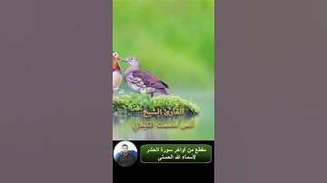 تلاوة خاشعة من سورة الحشر | للقارئ الشيخ انس عصمت الكيلاني