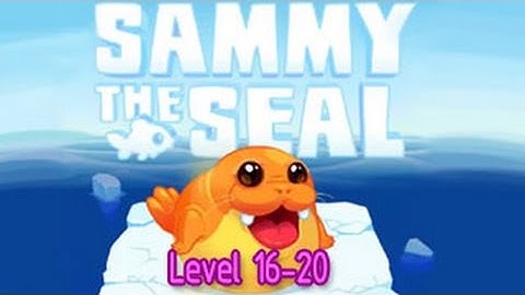 Sammy The Seal（Html5） Walkthrough Level 16-20