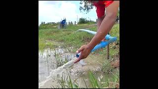 Amazing idea to make free energy water pump #short