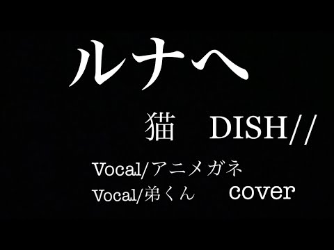 大切な家族へ【猫】【DISH//】coverを気持ちを込めて歌いました。