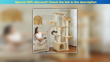 Limited Multi-Level Cat Tree with Scratching Posts, Cozy Condo, Super Large Perch, Deep Hammocks, T