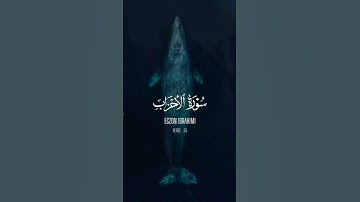 سورة الأحزاب تلاوة خاشعة #المصحف #لايك #راحة_نفسية #الرحمن #دويتو #ورك #quran #اكسبلور #duet