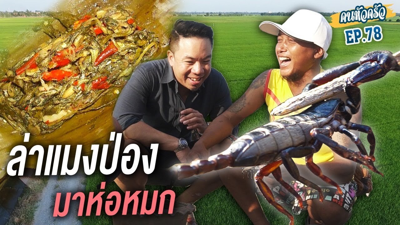 เปิปพิสดาร! ล่าแมงป่อง มาห่อหมก [หัวครัวทัวร์ริ่ง] EP.78