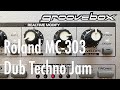 Roland MC 303 - Dub Techno Jam