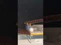 Say Goodbye to Cracked Eggs in #Poultry #Farming! Discover Gentle Nest Design for Perfection!