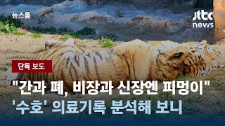 [단독] 서울대공원 호랑이 수호, 폐사 전에도 '잦은 병치레' 시달렸다 / JTBC 뉴스룸