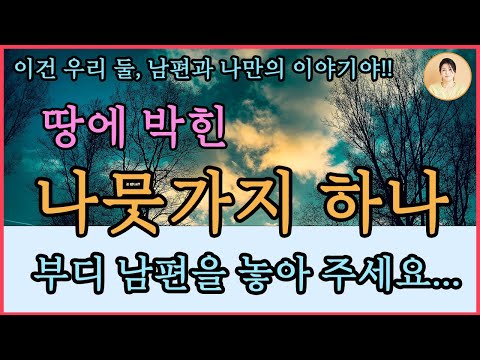 신간소설[땅에 박힌 나뭇가지 하나].이제 뒤돌아보지 마세요.과거의 자리에 모두 놓아두세요.시간이 그것들을 모아 다 짊어지고 갈 테니까요.남편 영혼과 소통하는 진짜 영매.최석규작