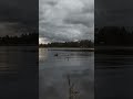#asmr #fishing #поклевка #поплавок #рыбалка #fishingvideo #плотва #fishingasmr #float