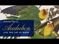 Curator Tour of Audubon and the Art of Birds