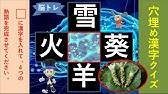 ちょっと戸惑う漢字クイズで頭の体操 Shorts Youtube