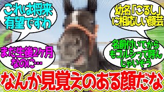 コルシくん ← やっぱり血は争えないな…に対するみんなの反応！【競馬 の反応集】