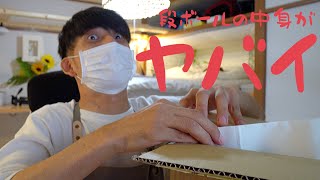 【神プレゼント】視聴者様からとんでもない猫の○○が送られて来ました