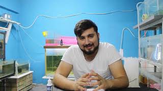 Meti̇len Mavi̇si̇ Nedi̇r? Baliklar Hangi̇ Likla Yemlemeli̇yi̇z? Akvaryum Sicakliği Ve Temi̇zli̇ği̇?