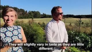 Village People of Raseborg: Pojo