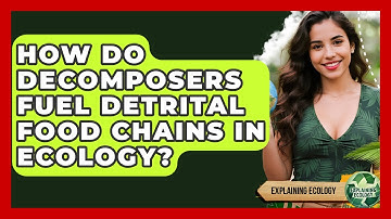 How Do Decomposers Fuel Detrital Food Chains In Ecology? - Explaining Ecology