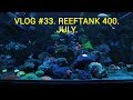 VLOG #33. REEFTANK 400. JULY.